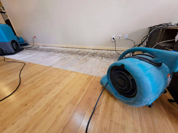 Professional Emergency Water Damage technician working in South Fulton, TN